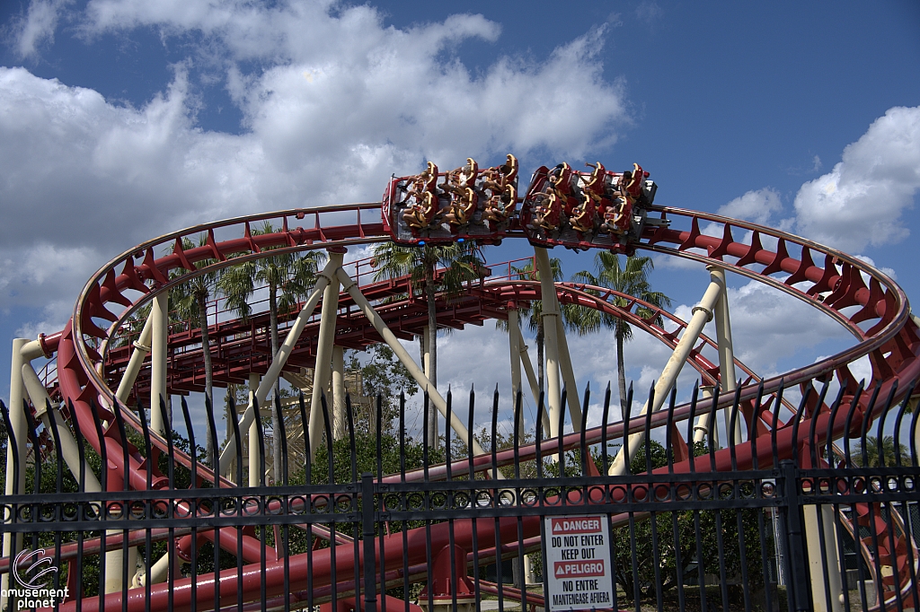 Hollywood Rip, Ride, Rockit