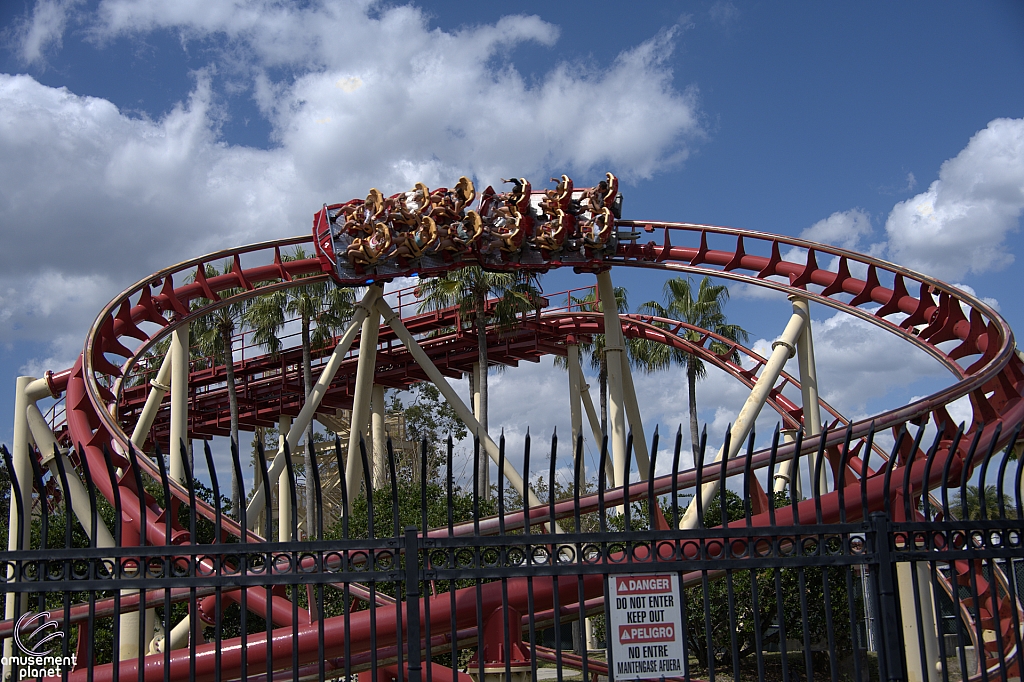 Hollywood Rip, Ride, Rockit