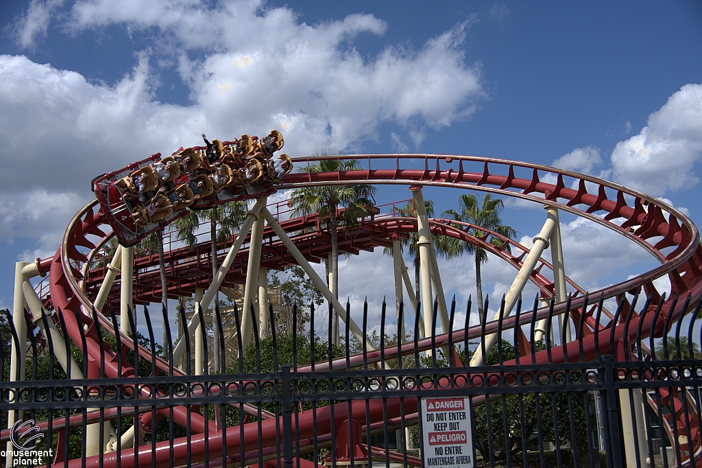 Hollywood Rip, Ride, Rockit