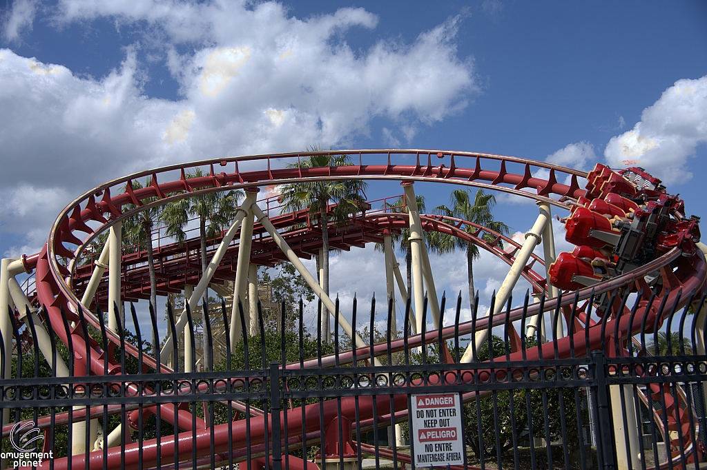 Hollywood Rip, Ride, Rockit