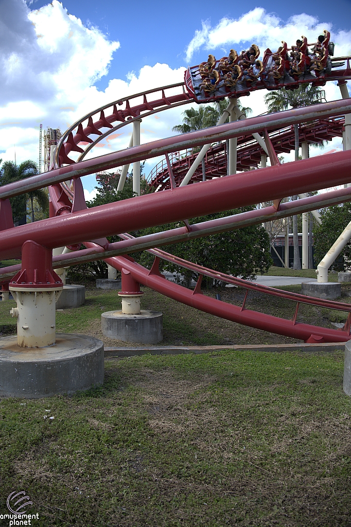 Hollywood Rip, Ride, Rockit