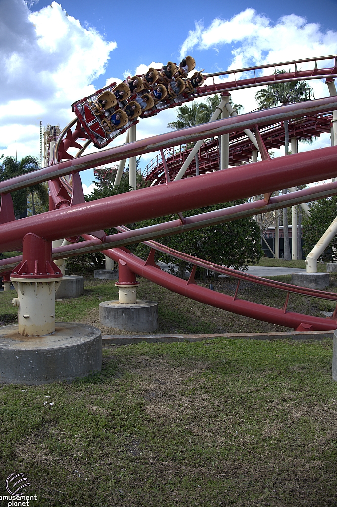 Hollywood Rip, Ride, Rockit