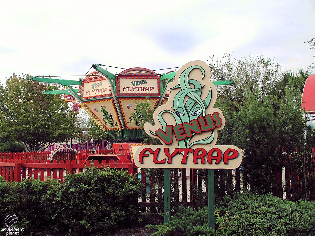 Venus Flytrap