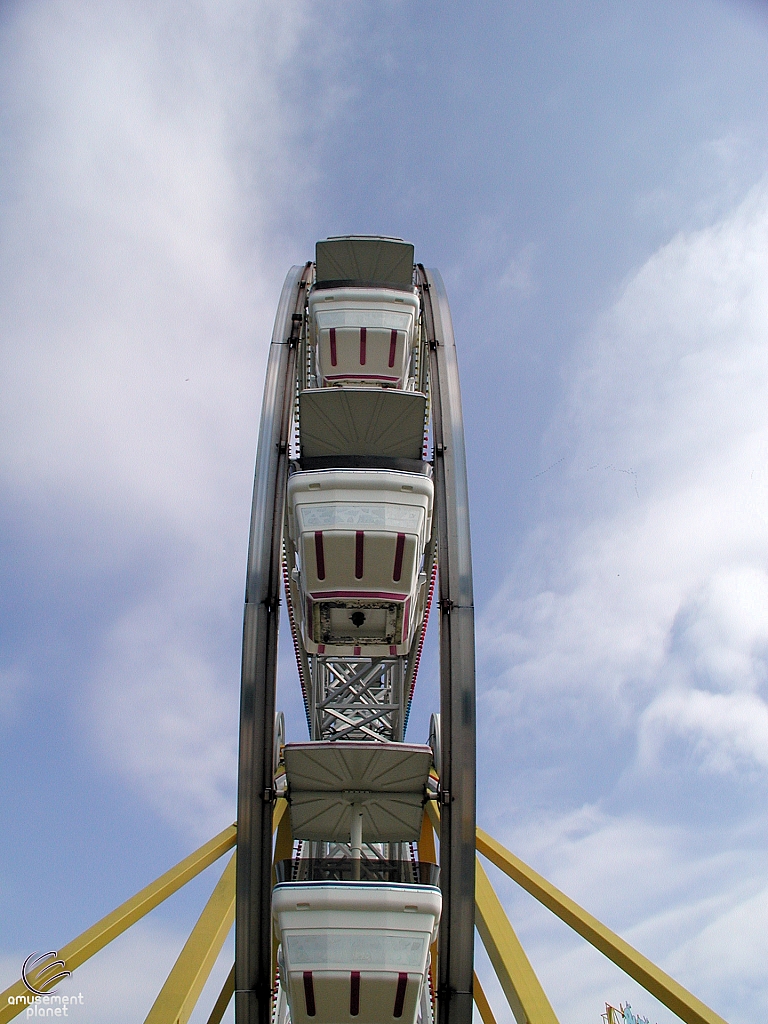 Century Wheel