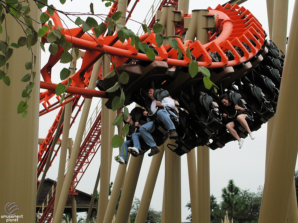 Twisted Typhoon