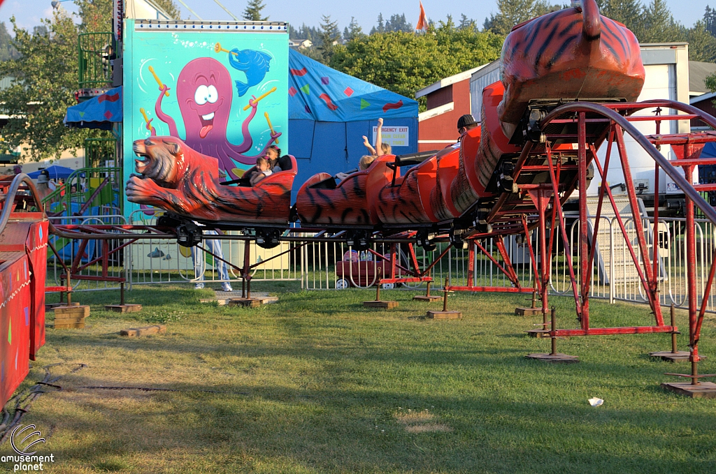 Tiger Express