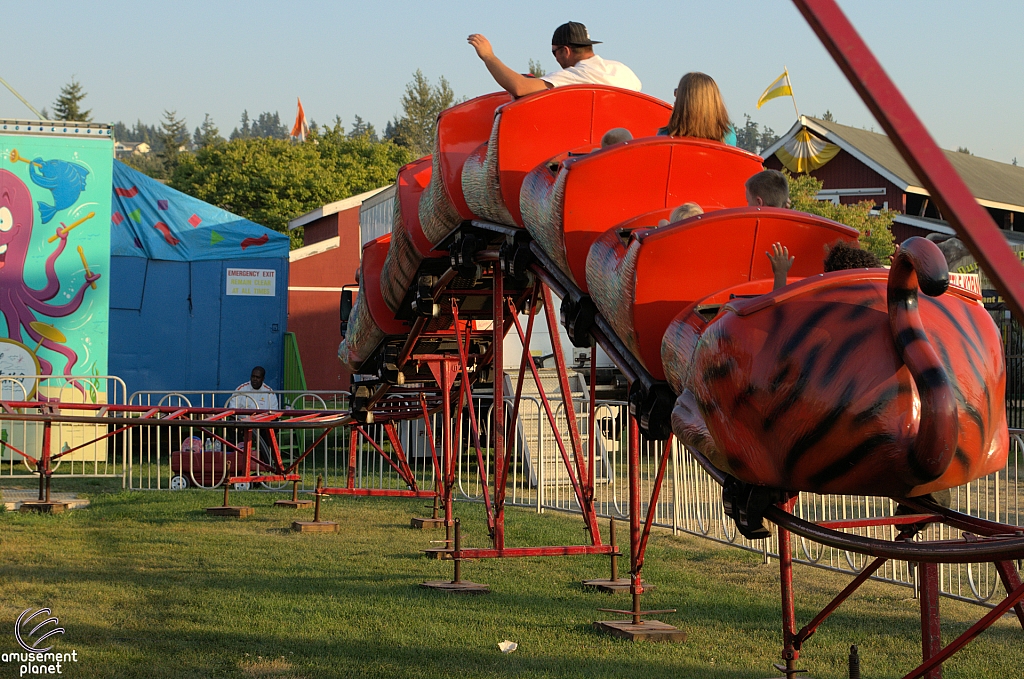 Tiger Express