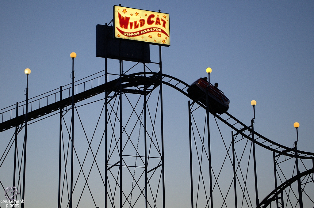 Wildcat