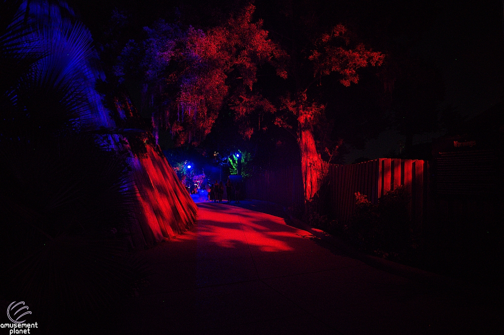 bgt-hos042