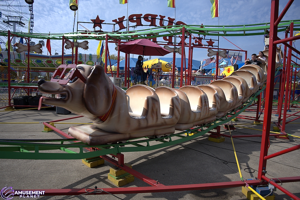 Puppy Express