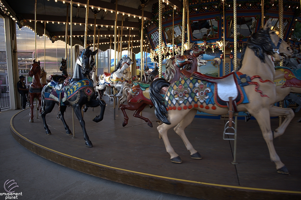 tsf25-carousel002