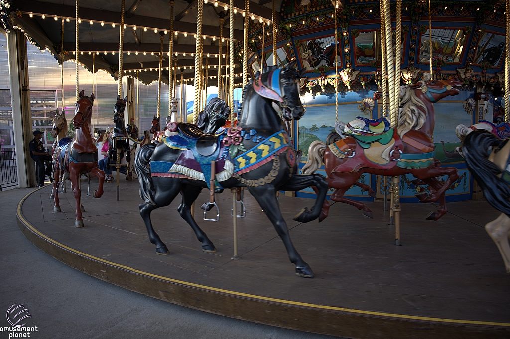 tsf25-carousel004