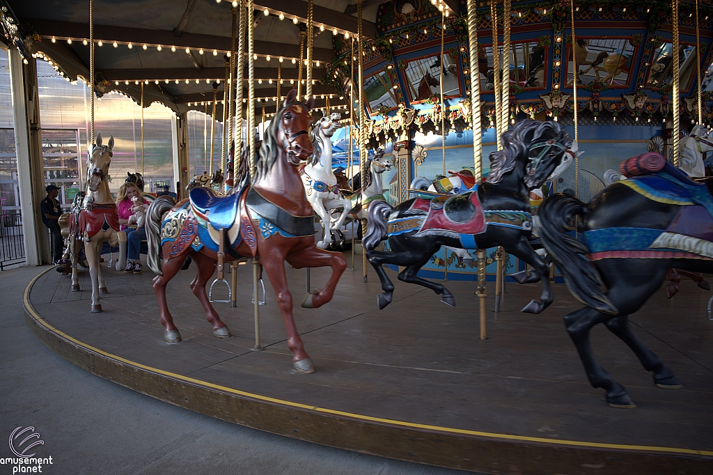 tsf25-carousel006