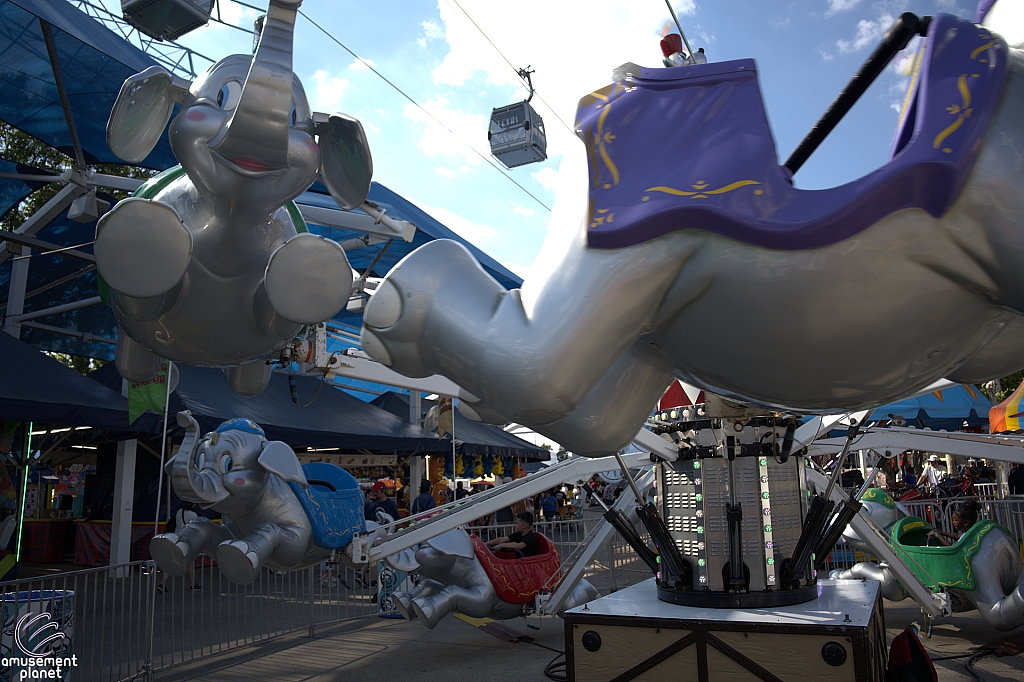 tsf25-jumbos001