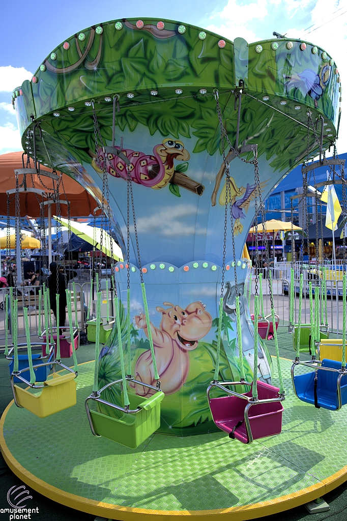 tsf25-kidswing002