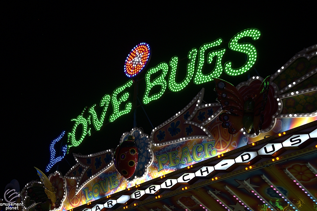 tsf25-love017