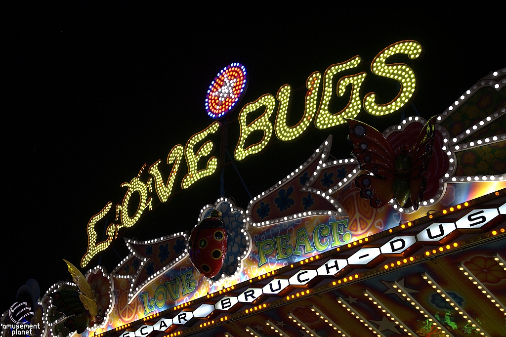 tsf25-love021