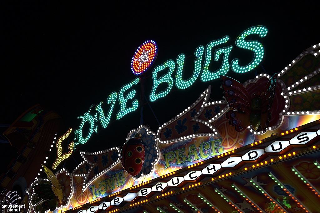 tsf25-love022