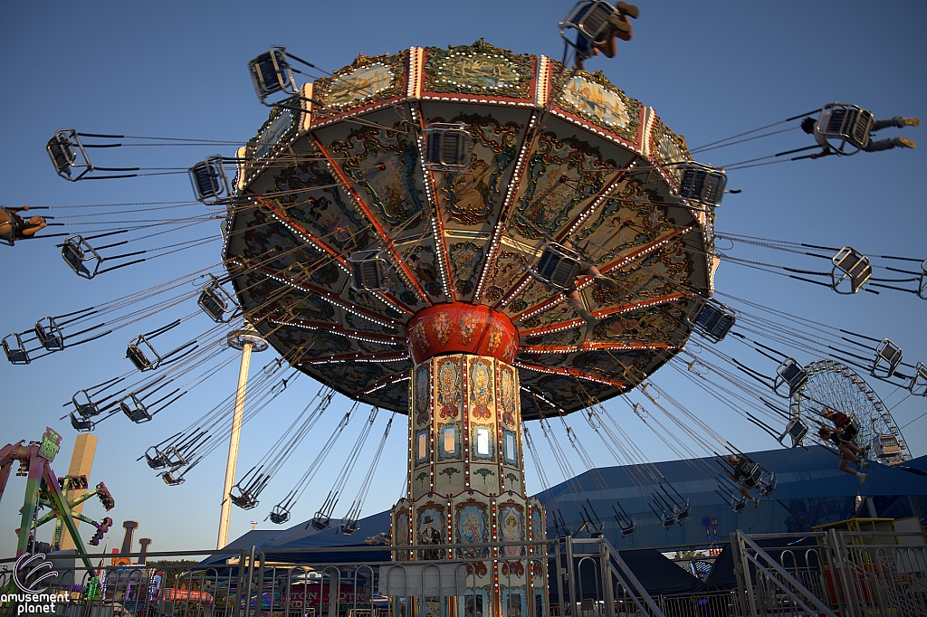 tsf25-swings009