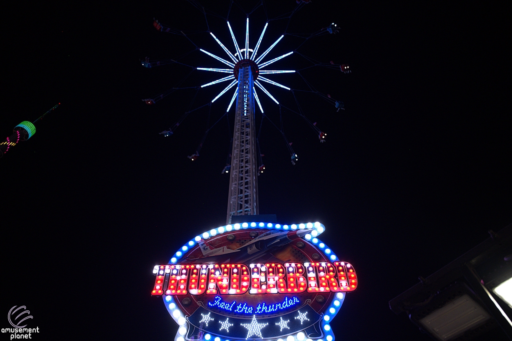 tsf25-tbird054