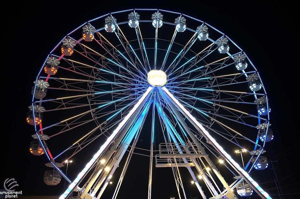 tsf25-wheel010
