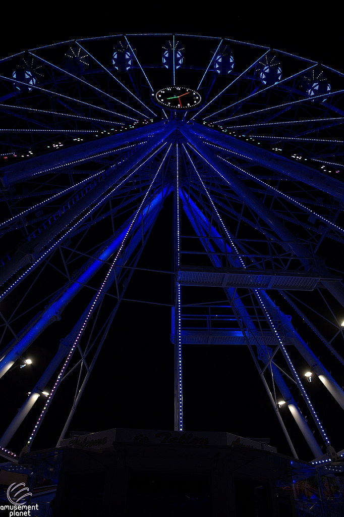 tsf25-wheel025