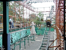 Tree Top Racers