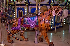 Circus Carousel