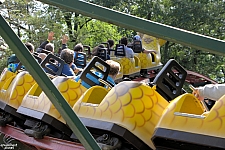 Rattlesnake Coaster