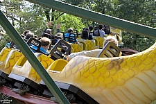 Rattlesnake Coaster