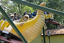 Rattlesnake Coaster