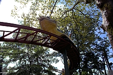 Rattlesnake Coaster