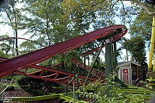 Rattlesnake Coaster