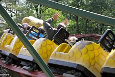 Rattlesnake Coaster