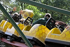 Rattlesnake Coaster