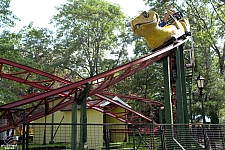 Rattlesnake Coaster