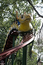 Rattlesnake Coaster