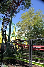 Rattlesnake Coaster