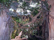 Downtown Aquarium - Denver