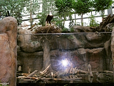 Downtown Aquarium - Denver