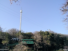Aquarena Springs