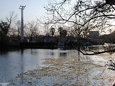 Aquarena Springs