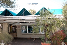 Aquarena Springs