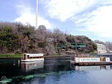 Aquarena Springs