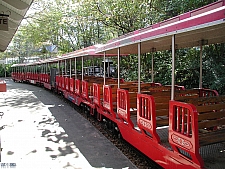 Zoo Express