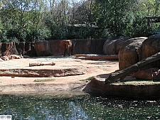 Zoo Atlanta