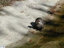 Zoo Atlanta