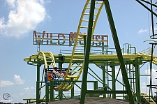 Wild Mouse