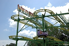 Wild Mouse