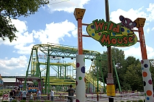 Wild Mouse